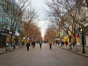 哈尔滨：市属国有景区自恢复开放至年底票价减半，外地旅行团游客在哈过夜每名每天50元补助