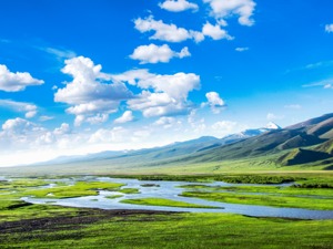 生态环境部：2019年城市黑臭水体消除率为86.7%，地表水水质优良比例为74.9%