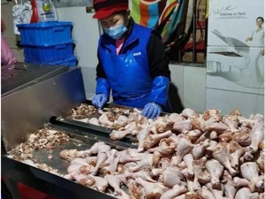 看到吐！变质鸡腿违法加工点现场曝光，竟流向炸鸡连锁店