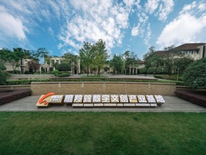 落地成都高新区 中日（成都）地方发展合作示范区正式挂牌