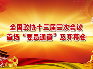 回放｜全国政协十三届三次会议首场“委员通道”及开幕会