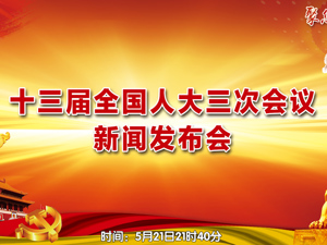 回放｜每经AI主播 带您直击人大新闻发布会