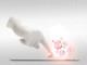 ____500323032_banner.thumb_hs