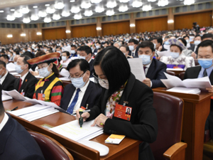 两会日记：代表委员热议政府工作报告 读懂每一个字变化背后的内涵