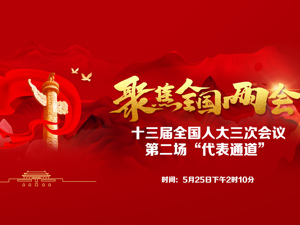 回放｜十三届全国人大三次会议第二场“代表通道”