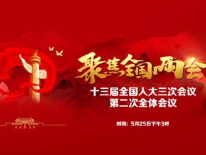 回放｜十三届全国人大三次会议第二次全体会议