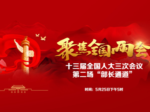 回放｜十三届全国人大三次会议第二场“部长通道”