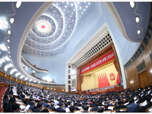 全国人大常委会工作报告：依法做好监督工作，将对野生动物保护法等6部法律开展检查