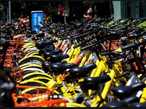 北京市交委立案调查ofo小黄车 你的押金退回来了吗？