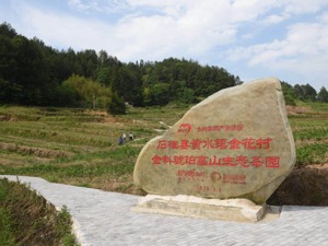 扶贫篇 | 金科的产业扶贫映像：荒地“变”茶园，破屋“变”民宿