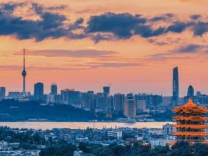 湖北发布重要通知：提振消费“30条”来了！落实新能源汽车购置补贴、加快个人住房贷款审批发放等