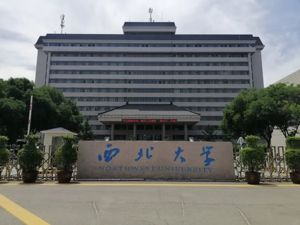 百年西大的“新野心”？