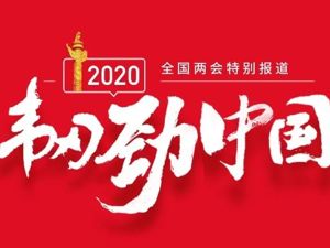 两会期间，他们接受了每经专访……