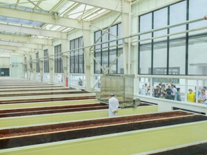 科技创新赋能郫县豆瓣 形成30余项研究成果