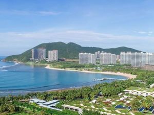 海南，造一个怎样的自贸港？