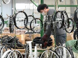 欧美疯抢中国自行车？地摊概念股？两连板的上海凤凰这样回应