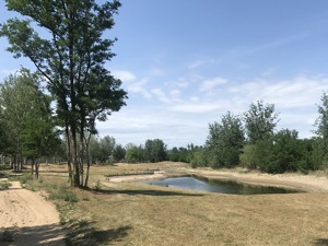 调查｜ 北京永定河高尔夫一条街被淹：已有球场重新开放