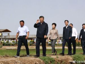 习近平在宁夏考察