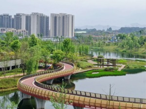 “闲”不下来的成都