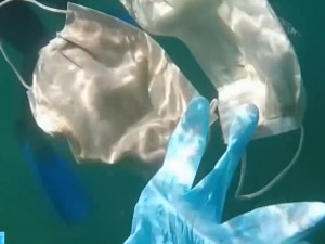 警惕！地中海捞出废弃口罩手套：部分400多年才能分解，有再传播病毒的风险
