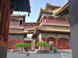 注意！国家大剧院、雍和宫暂停开放，可网上退票