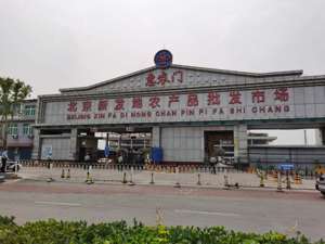 直击北京新发地市场：附近小区已封锁  商户自觉歇业