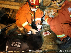 温岭槽罐车爆炸事故跟踪：仍有5人失联，数名危重患者被紧急转运杭州，搜救犬参与救援受伤