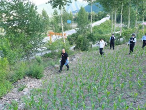 村民在耕地发现30厘米长炸弹，初步确认为战争遗留炸弹，埋藏多年，最终被安全引爆