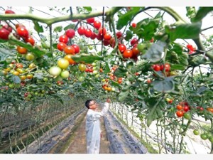 九部门：到2025年培育农村创新创业带头人100万以上，支持职业院校建设孵化实训基地