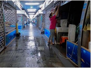图集|疫情下的北京海鲜市场：有商户守着滞销小龙虾，玩手机打发时间