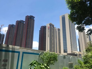 深圳楼市魔幻一幕：去年被人嫌弃不要的这5套房，今年1171人抢