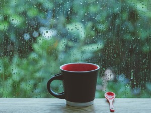 孟买饮用水储量只够维持42天，官员表示等下雨了自然有水
