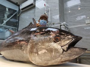海鲜刺身损失惨重：冰鲜转成冷冻将跌价70%，业内人士呼吁理性看待