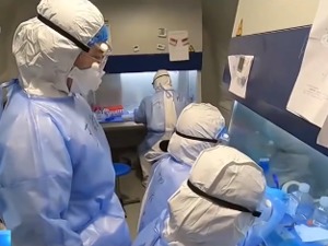 我国新型冠状病毒抗体研究取得重大突破，为新冠治疗提供了强效候选药物