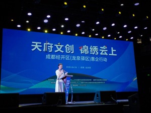 激发文创产业活力 成都经开区（龙泉驿区）141万元“真金白银”惠企助企  