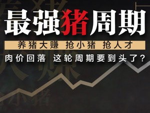 最强猪周期调查：一头猪狂赚三千，农校生月薪2万仍疯抢，暴利还有两三年？