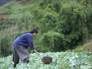 被海外博主模仿、甚至直接“搬走”视频，李子柒怎么维权？