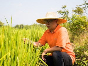 人物篇 | 从办公室到田间地头，一位80后白领的扶贫故事