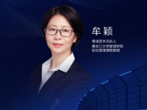 青域资本合伙人牟颖：换电模式在标准体系下运行才会更高效