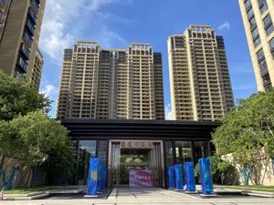 房子建好了却“无开盘计划”，东莞这个“双料地王”项目怎么了？