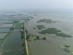 南方多地防汛形势严峻，鄱阳湖可能发生流域性大洪水
