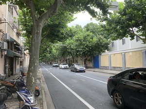 房龄90年、单价30万！上海学区房也疯狂，中介称“你来晚了”