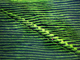 __________-500229712.thumb_hs