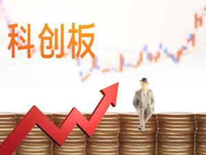 科创板一周年成绩单曝光 68只基金获配市值超5千万 科创主题偏爱中小创