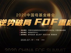 直播｜2020中国母基金峰会