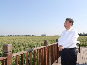 习近平赴吉林考察调研