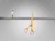 __________-500587930.thumb_hs
