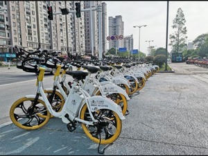 雅迪科技集团高级副总裁王家中：电动车产品需要差异化，续航里程和动力是痛点