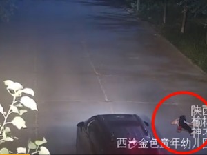 痛心！高中生醉酒倒地昏睡遭车辆碾压身亡，肇事司机系饮酒后开车