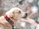 ____500925444_banner___________.thumb_hs